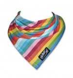 Rainbow Skibz Teething Bib